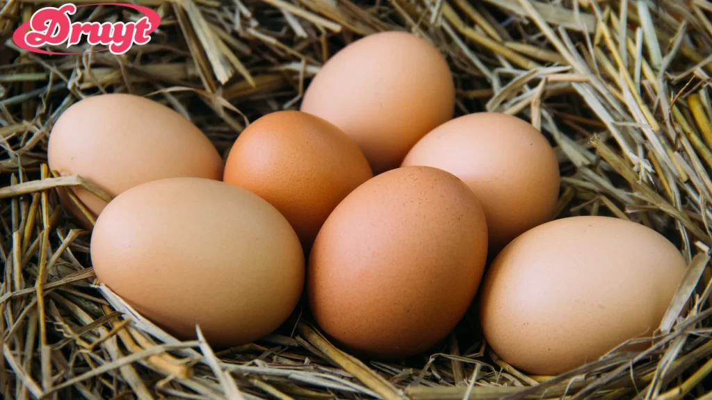 Fresh eggs in a basket - How long do fresh eggs last when stored properly?